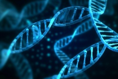 轉座子整合穩(wěn)定細胞株